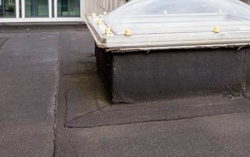 disadvantages of Llanbadarn Y Garreg flat roofs